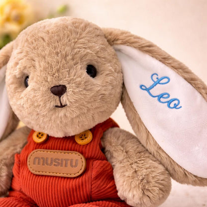 Personalized Bunny Plush Toy, Custom Embroidered Stuffed Rabbit, Personalized Bunny Doll, Baby Shower Gift, Newborn Keepsake