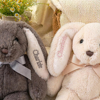 Personalized Bunny Plush Toy, Custom Name Stuffed Rabbit, Soft Keepsake Gift, Nursery Decor